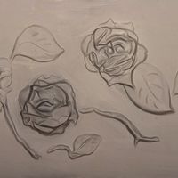 mamorrosen