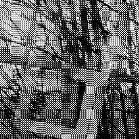 standpunkt 103