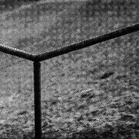 standpunkt 61