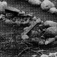 standpunkt 65