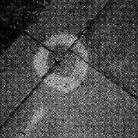 standpunkt 70