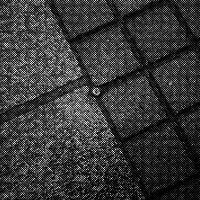 standpunkt 25
