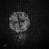 standpunkt 29
