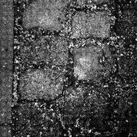 standpunkt 35