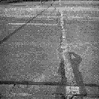 standpunkt 36