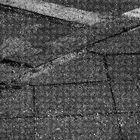 standpunkt 37