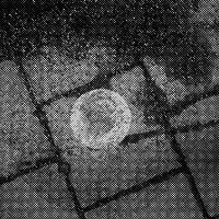 standpunkt 39