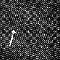 standpunkt 72