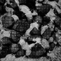 standpunkt 74