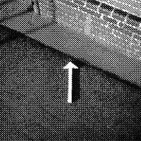 standpunkt 89