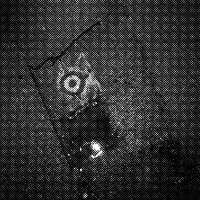 standpunkt 96