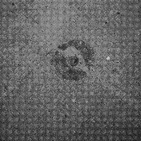 standpunkt 16