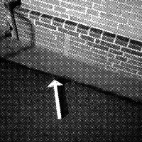 standpunkt 20