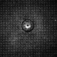 standpunkt 23
