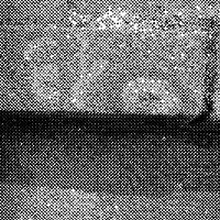 standpunkt 50