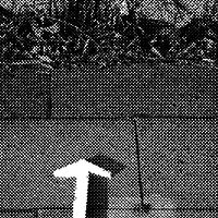 standpunkt 51