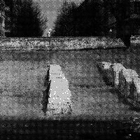 standpunkt 53