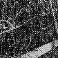 standpunkt 56