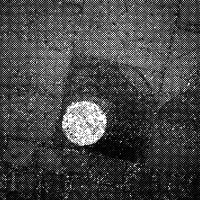 standpunkt 60