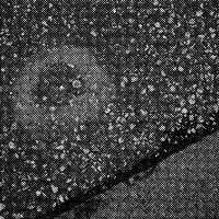 standpunkt 77