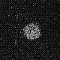 standpunkt 79