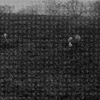 standpunkt 80