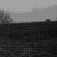 standpunkt 81