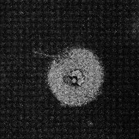 standpunkt 83