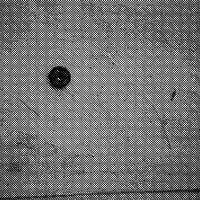 standpunkt 84